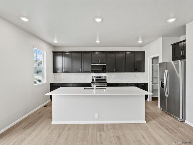 1629 Yampa River Drive, Windsor, CO 80550