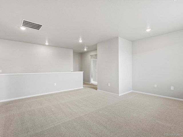 1629 Yampa River Drive, Windsor, CO 80550