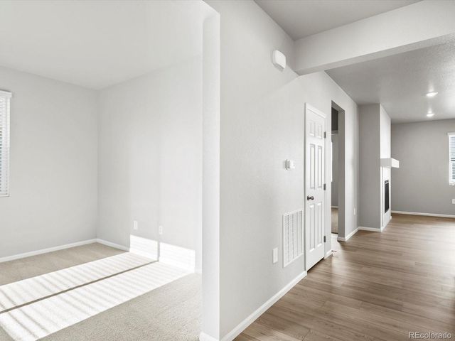 1629 Yampa River Drive, Windsor, CO 80550