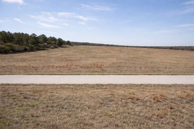 6001 Conifer Court, Poolville, TX 76487