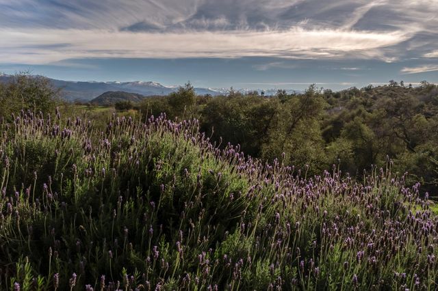 38150 Sumac Lane, Yokuts Valley, CA 93675