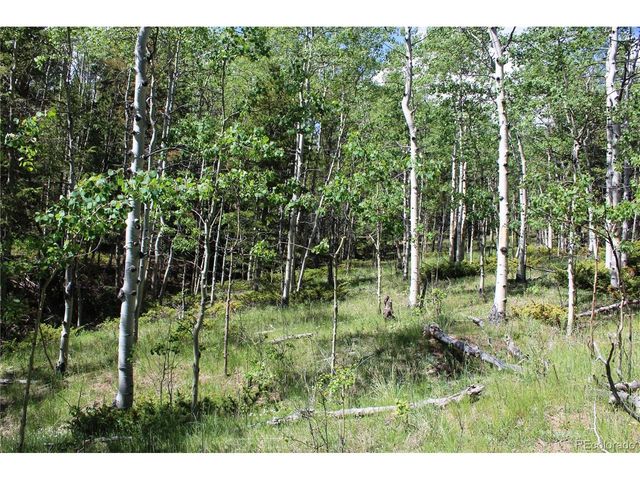 6050 Virginia Canyon Rd, Central City, CO 80427