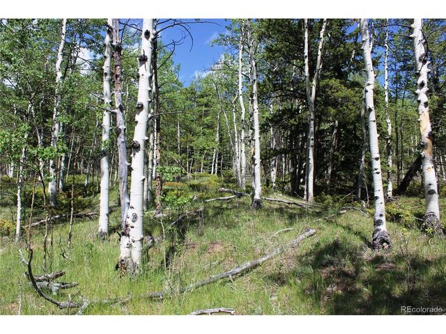 6050 Virginia Canyon Rd, Central City, CO 80427