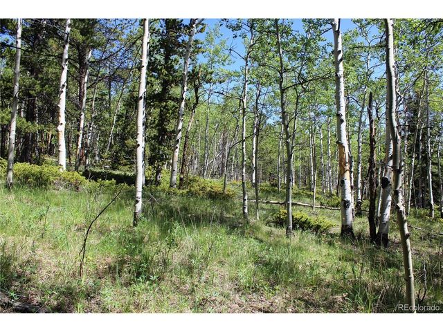 6050 Virginia Canyon Rd, Central City, CO 80427