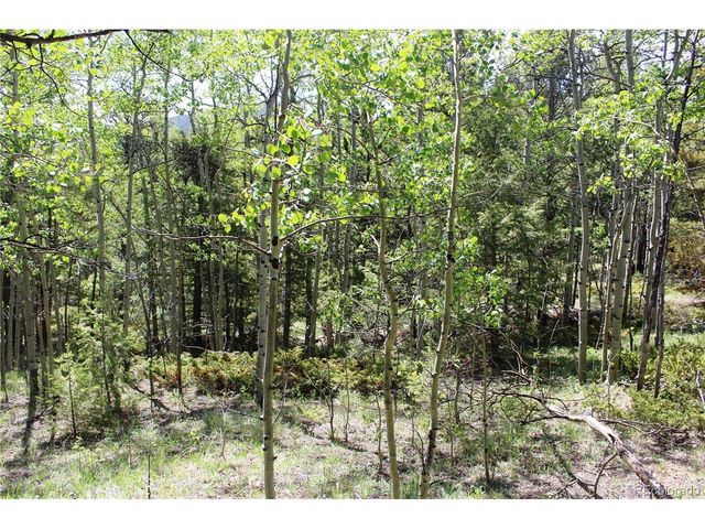 6050 Virginia Canyon Rd, Central City, CO 80427