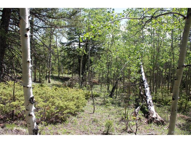 6050 Virginia Canyon Rd, Central City, CO 80427