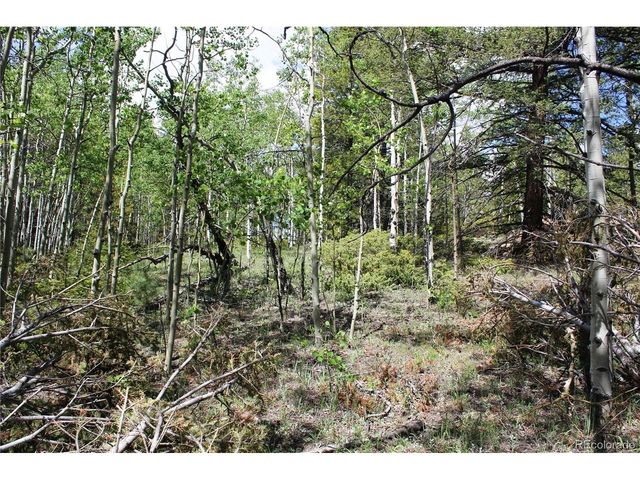 6050 Virginia Canyon Rd, Central City, CO 80427