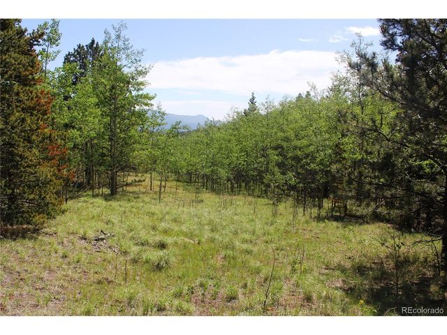 6050 Virginia Canyon Rd, Central City, CO 80427