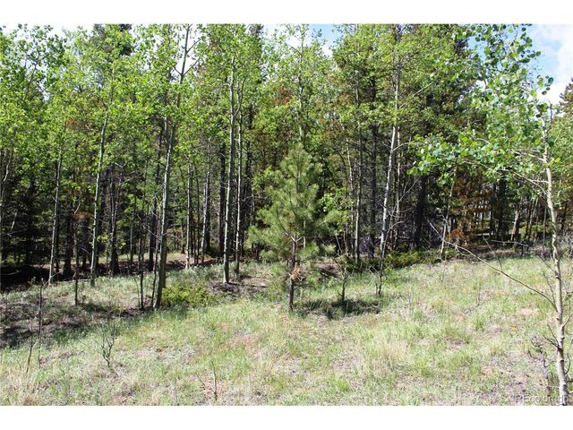 6050 Virginia Canyon Rd, Central City, CO 80427