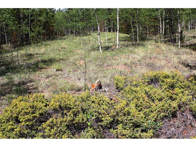 6050 Virginia Canyon Rd, Central City, CO 80427