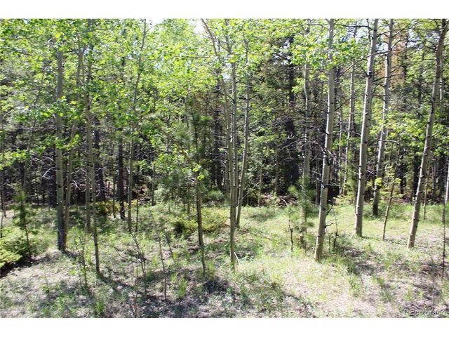 6050 Virginia Canyon Rd, Central City, CO 80427