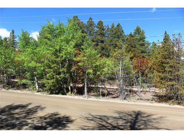 6050 Virginia Canyon Rd, Central City, CO 80427