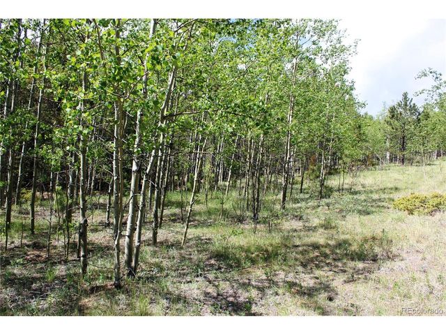 6050 Virginia Canyon Rd, Central City, CO 80427