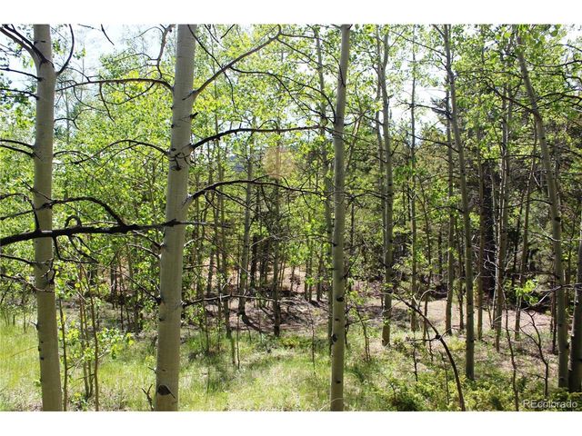 6050 Virginia Canyon Rd, Central City, CO 80427