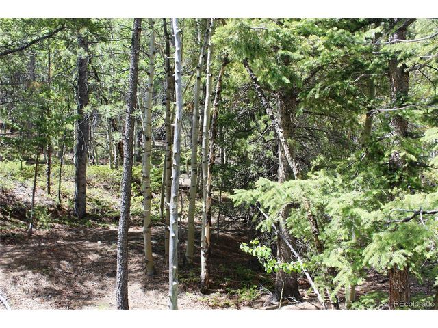 6050 Virginia Canyon Rd, Central City, CO 80427