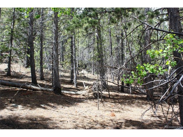 6050 Virginia Canyon Rd, Central City, CO 80427