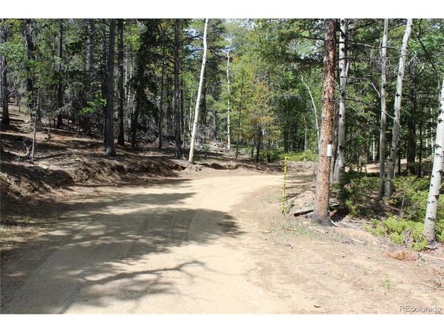 6050 Virginia Canyon Rd, Central City, CO 80427