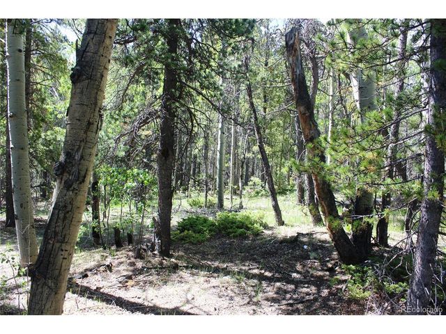 6050 Virginia Canyon Rd, Central City, CO 80427