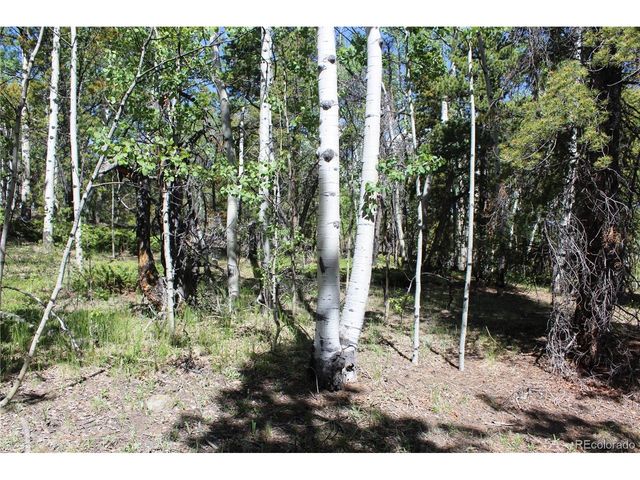6050 Virginia Canyon Rd, Central City, CO 80427