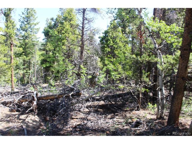 6050 Virginia Canyon Rd, Central City, CO 80427