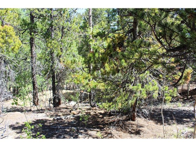 6050 Virginia Canyon Rd, Central City, CO 80427