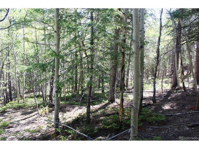 6050 Virginia Canyon Rd, Central City, CO 80427