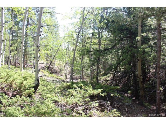 6050 Virginia Canyon Rd, Central City, CO 80427