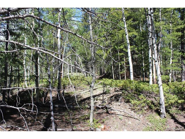 6050 Virginia Canyon Rd, Central City, CO 80427