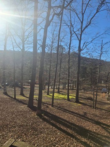 90 Lake Drive, Drasco, AR 72530