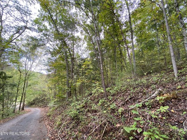 1040 Loop Rd, Sevierville, TN 37876
