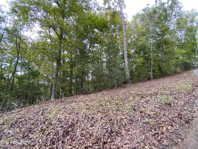 1040 Loop Rd, Sevierville, TN 37876