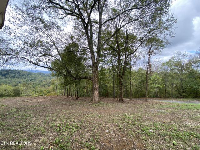 1040 Loop Rd, Sevierville, TN 37876