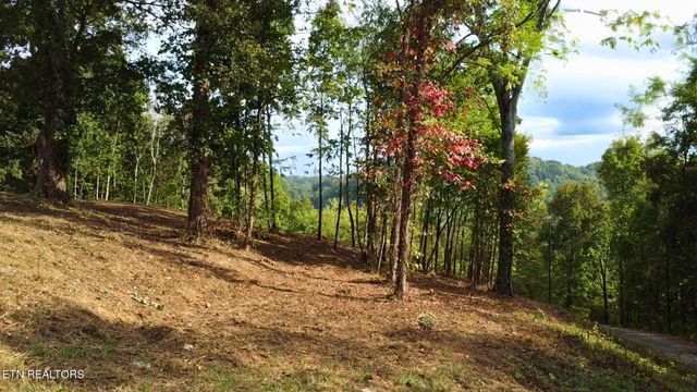 1040 Loop Rd, Sevierville, TN 37876