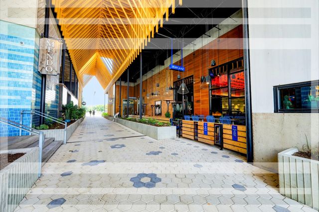 316 E 5th Street, Houston, TX 77007