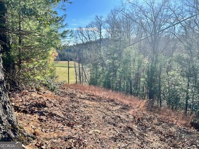 0 Corinth Church Road, Cleveland, GA 30528
