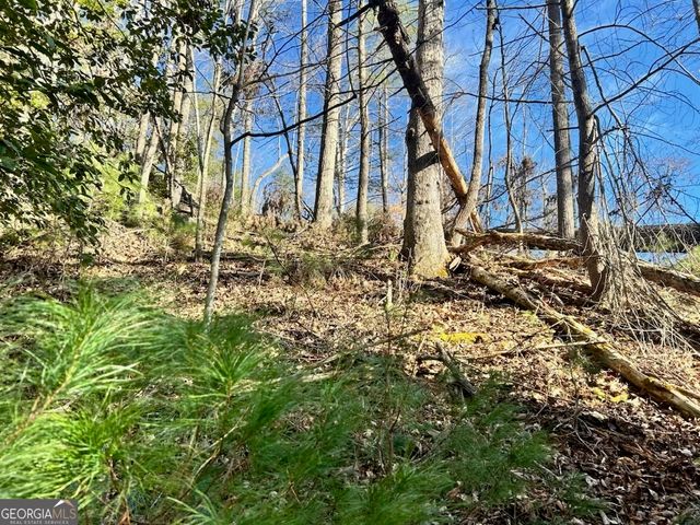 0 Corinth Church Road, Cleveland, GA 30528
