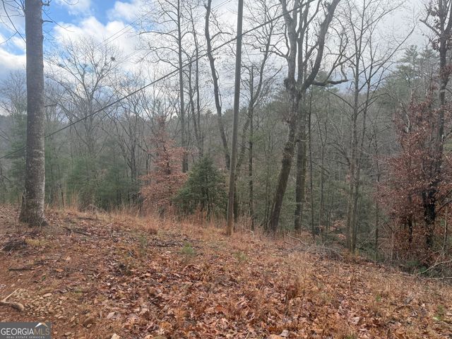 0 Corinth Church Road, Cleveland, GA 30528