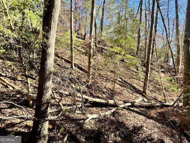 0 Corinth Church Road, Cleveland, GA 30528