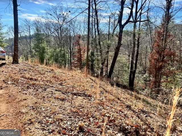 0 Corinth Church Road, Cleveland, GA 30528