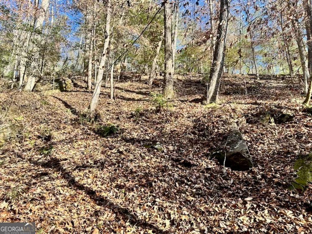 0 Corinth Church Road, Cleveland, GA 30528