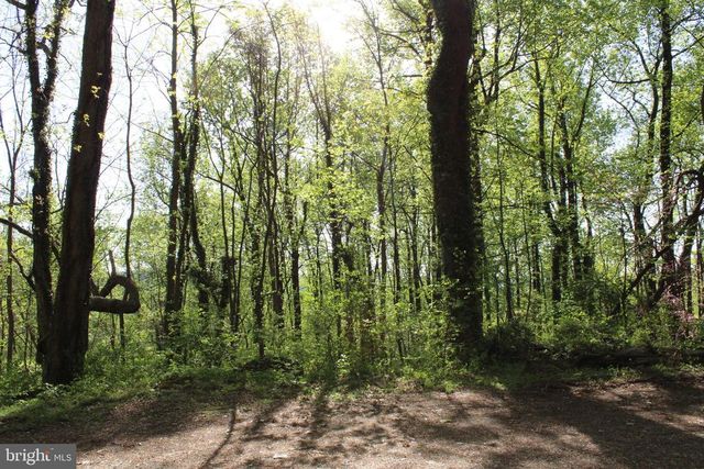 446 SPRING DR, Stanardsville, VA 22973
