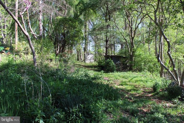 446 SPRING DR, Stanardsville, VA 22973