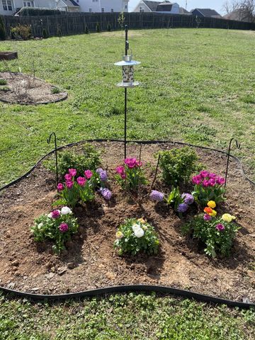 704 Claystone Ct, Clarksville, TN 37040