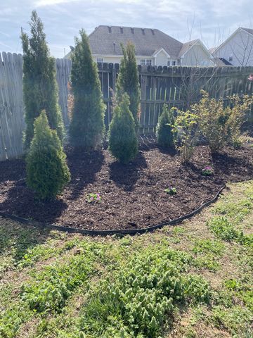 704 Claystone Ct, Clarksville, TN 37040