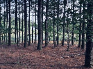 255 Waterwheel Way, Jasper, TN 37347