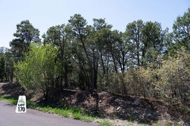 12 Los Pecos Trail, Tijeras, NM 87059