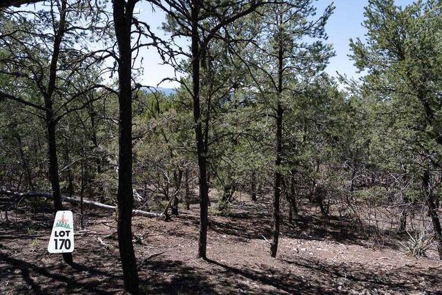 12 Los Pecos Trail, Tijeras, NM 87059