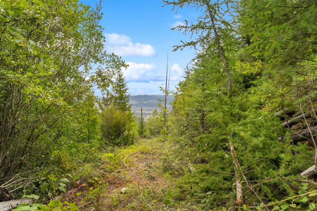 714 Eagles Roost Lane, Hamilton, MT 59840 photo 42