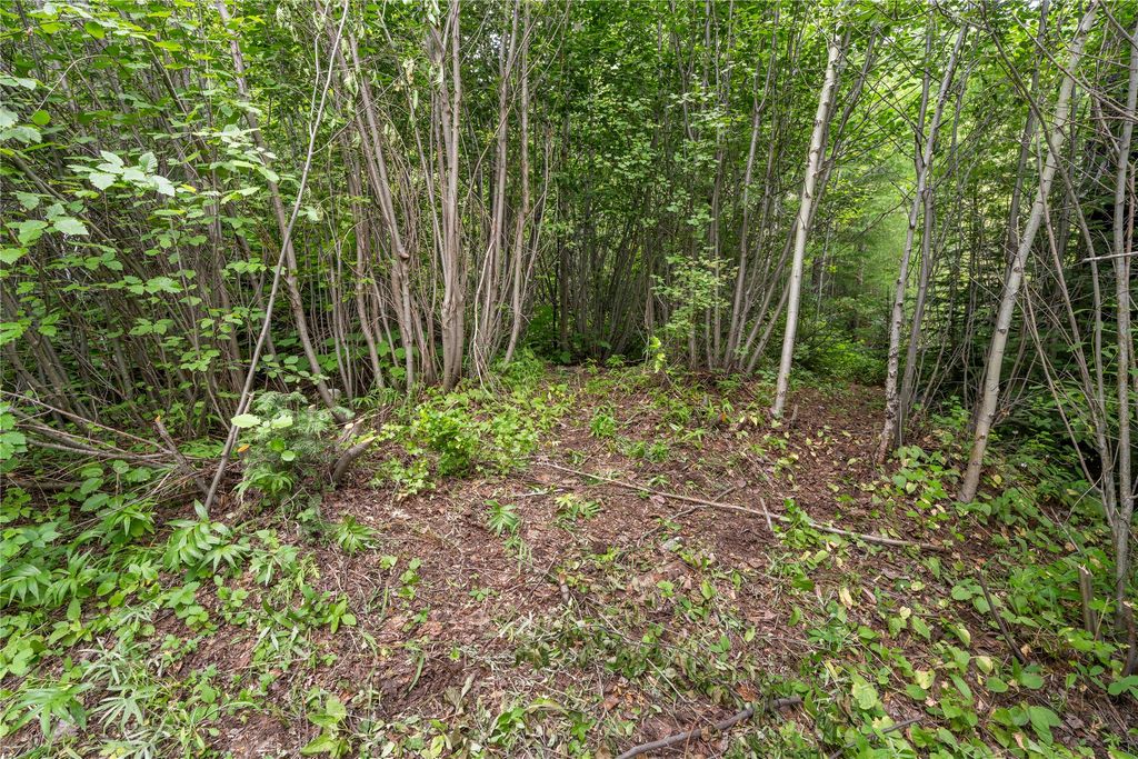 714 Eagles Roost Lane, Hamilton, MT 59840 photo 43