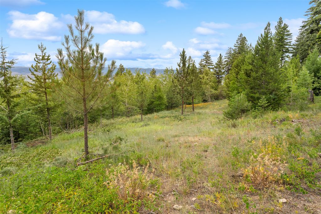 714 Eagles Roost Lane, Hamilton, MT 59840 photo 44